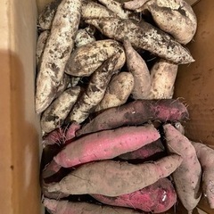 柿を持っている方へ
