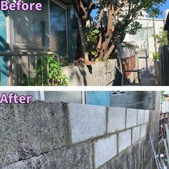 1日15,000円！草刈り・木の剪定・伐採・伐根 − 沖縄県