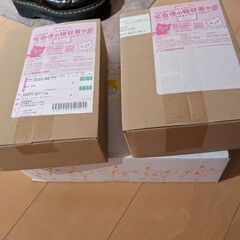 ジムセット＋レイジングサーフ＋古代の咆哮 ナンジャモ ポケモンカード ポケカ