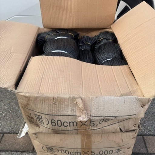 シート紐　黒　9000本