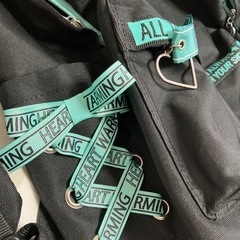 パティーズで購入したバッグ２点の画像