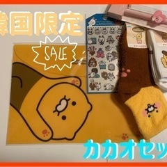 韓国限定　カカオフレンズセット