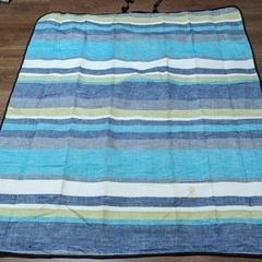 折り畳みレジャーシートの画像