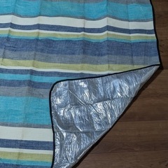 折り畳みレジャーシートの画像