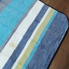 折り畳みレジャーシートの画像