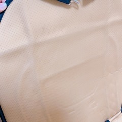 カーシート シートカバーの画像