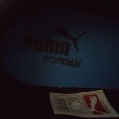 【Puma Eco Ortholite】 レディース　シューズ　スニーカー　２４の画像