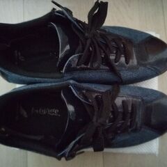 レディース　シューズ　スニーカー　靴　２４．５ｃｍ　ＥＥＥ