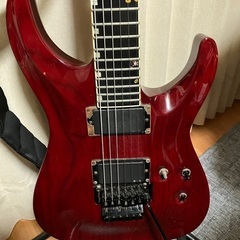 ESP Horizon Customの画像