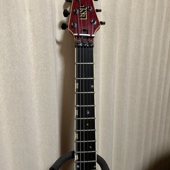 ESP Horizon Customの画像