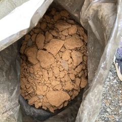 庭土を持っていって頂ける方、いらっしゃいますか。