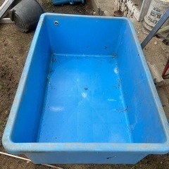 プラ　水槽　生簀　特大