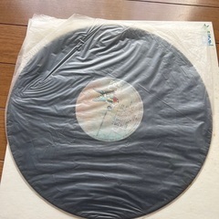 グレープ／LP レコードの画像