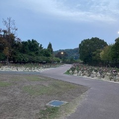ウォーキング仲間募集🏃‍♀️🏃‍♀️🏃‍♀️
