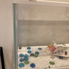 水槽2セットの画像