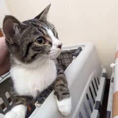 姉妹一緒にずっとの家族に出会いました💕 - 那覇市