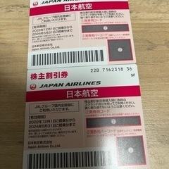 JAR株主割引券2枚セット