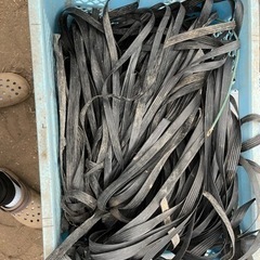 　購入予定が決まりました。の画像