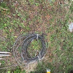 　購入予定が決まりました。の画像