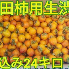 大容量！市田柿用生柿☆渋柿☆箱込み24kg☆チビチビサイズ