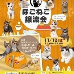 保護猫譲渡会