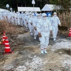鳥インフルエンザ関連業務　50万円以上可能　あと2名の画像
