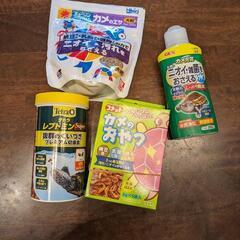 亀飼育セット