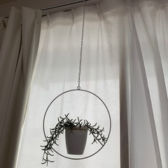 【終了】ハンギンググリーン★金具★フェイクグリーン付き
