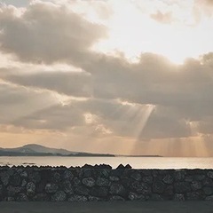 自分に嘘、つくのは辞めよう🤫