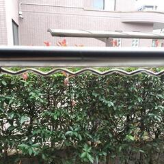 物干し竿　1本の画像