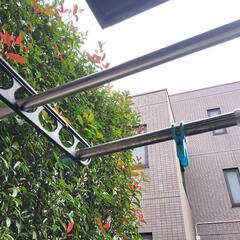 物干し竿　1本