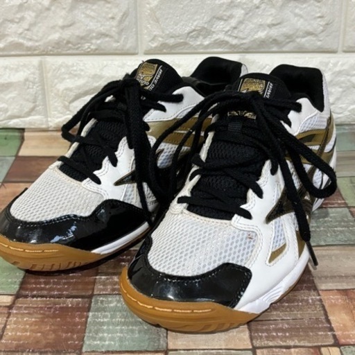 mizuno ミズノ  シューズ バレーボール  ウェーブ オーディーン （WAVE ODEEN）