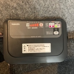 2点セットYAMAZEN 山善SUE-S32  3畳用カーペットの画像