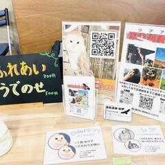 鷹＆フクロウ(猛禽類)のふれあいイベントが出来る所を探しています。
