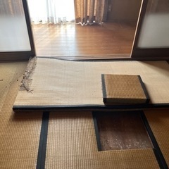 畳　6畳分の画像