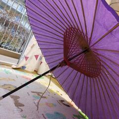 和傘【受渡決定】の画像