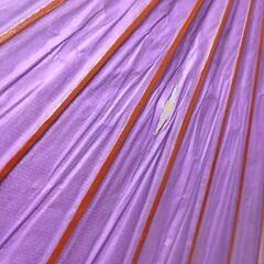 和傘【受渡決定】の画像