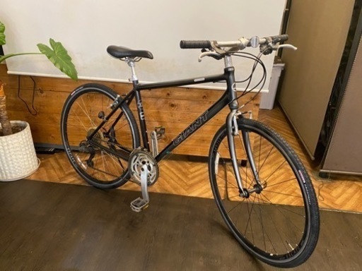 【GIANT】ESCAPE R3 500mm