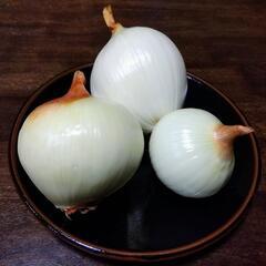 【むき玉（送料込み）】南あわじ産の美味しい玉ねぎ、約３kg、※箱...
