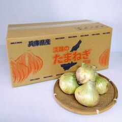 【むき玉（送料込み）】南あわじ産の美味しい玉ねぎ、約３kg、※箱の容量的に20kgまで対応可能、ご連絡下さい、※時価ですの画像