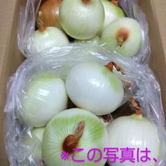 【むき玉（送料込み）】南あわじ産の美味しい玉ねぎ、約３kg、※箱の容量的に20kgまで対応可能、ご連絡下さい、※時価ですの画像