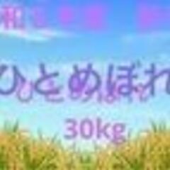 鳥のエサに　つや姫、ひとめぼれ　各　30Ｋ　５００円　