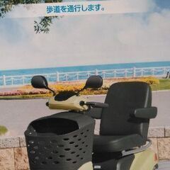 スズキシニアカーの画像