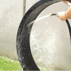 猫　エクササイズホイールの画像