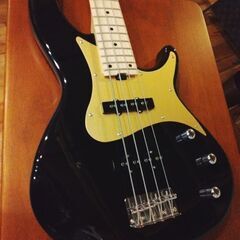 展示在庫品（新品）　Aria Pro Ⅱ　RSB-618/4 BKの画像