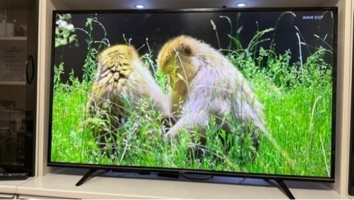 【おまけ付き】IRIS OHYAMA ハイビジョン液晶テレビ　LT-65A620