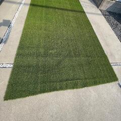 人工芝　メモリーターフ　28㍉　2m×約4m
