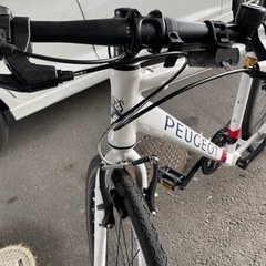 PEUGEOT（プジョー） クロスバイク 1x7 / 43cm WHITE