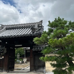 城下町寺ヨガ〜源徳寺〜の画像