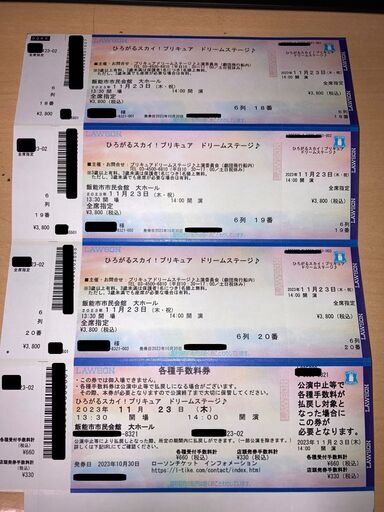 値下げしました【埼玉県飯能市】ひろがるスカイ！プリキュア　ドリームステージ　2023/11/23（木）